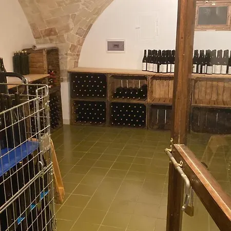 Campeggio Tenuta Villa della Rosa Villamagna (Abruzzo)